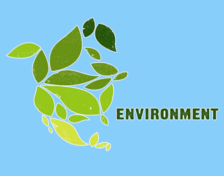 C - Environment 