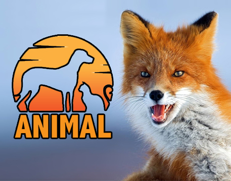 D - Animal-Related 